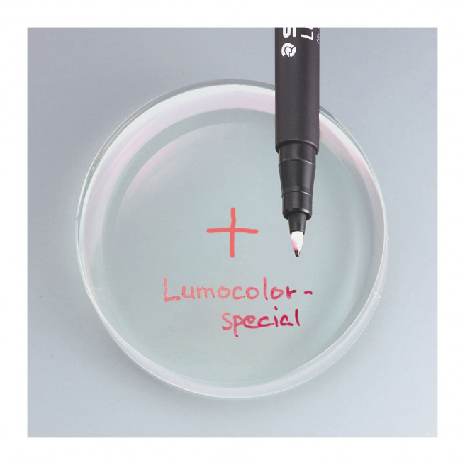 Feutre indélébile Lumocolor pour transparent - Staedtler  Le Géant des  Beaux-Arts - N°1 de la vente en ligne de matériels pour Artistes