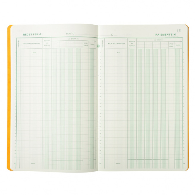 Recettes Depenses Cahier de Caisse: cahier recette depense I