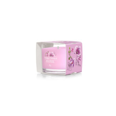 Calendrier De L'Avent Yankee Candle 2024 - Inclus Promo -10%