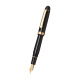 Stylo Platinum CENTURY 3776