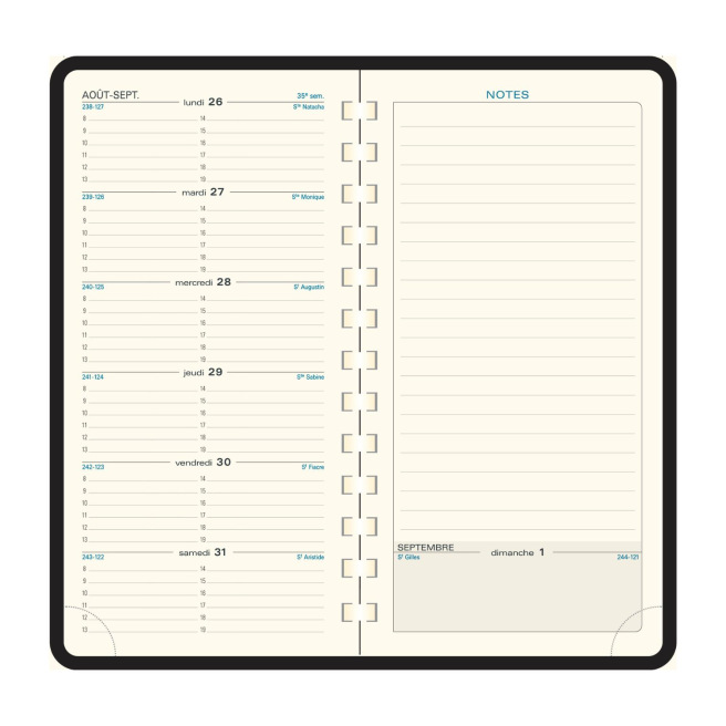 Agenda Exacompta ESPACE 17S - 9 x 17,5 cm - 1 semaine sur 2 pages avec notes